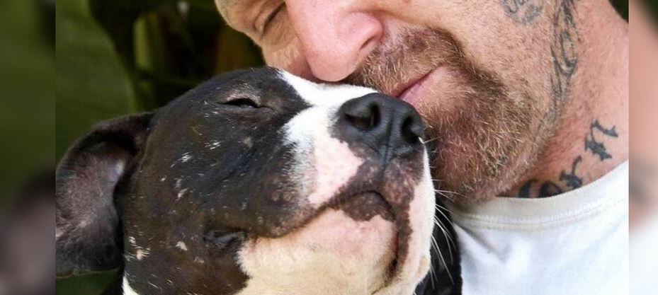 Guy Fills His Home With Unwanted Pit Bulls That Have X’s On Their Cages