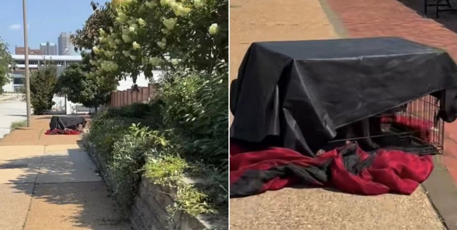Shelter Worker Finds Abandoned Crate in Scorching Heat and Can’t Believe What’s Inside
