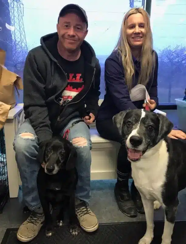 Senior dogs Cosmo and Sam begin healing at rescue