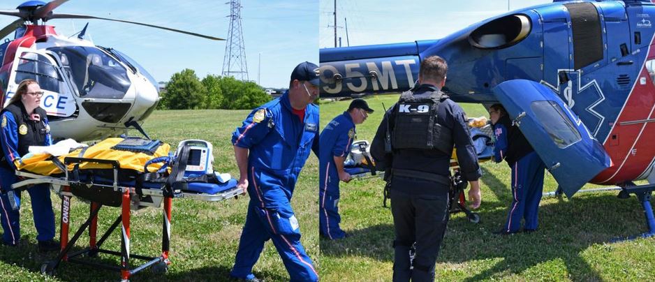 A Poisoned Patrol Dog In Acute Respiratory Distress Triggers A Historic Emergency Medical Airlift