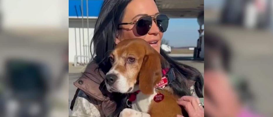 A Traumatized Medical Research Beagle Trapped In Clinical Silence Finally Unleashes His First True Bark