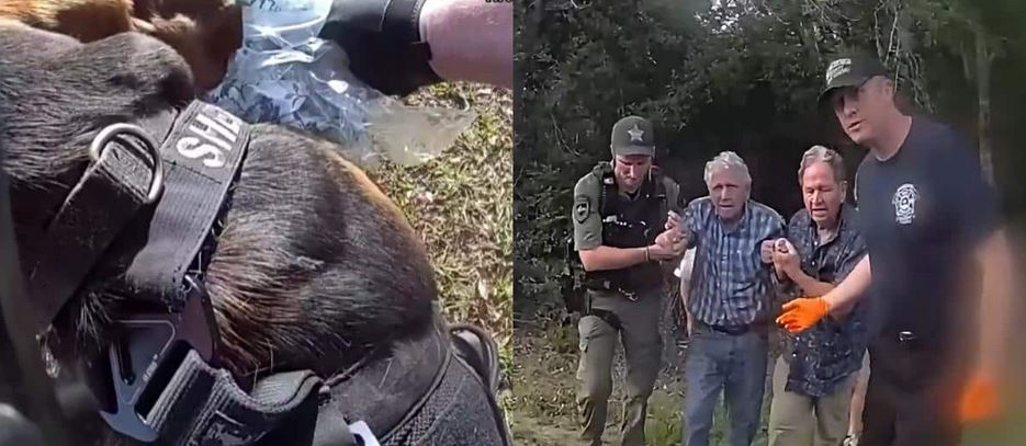 A 96 Year Old Man Vanished Into The Thick Florida Woods Until A Hero K9 Sensed Something Invisible