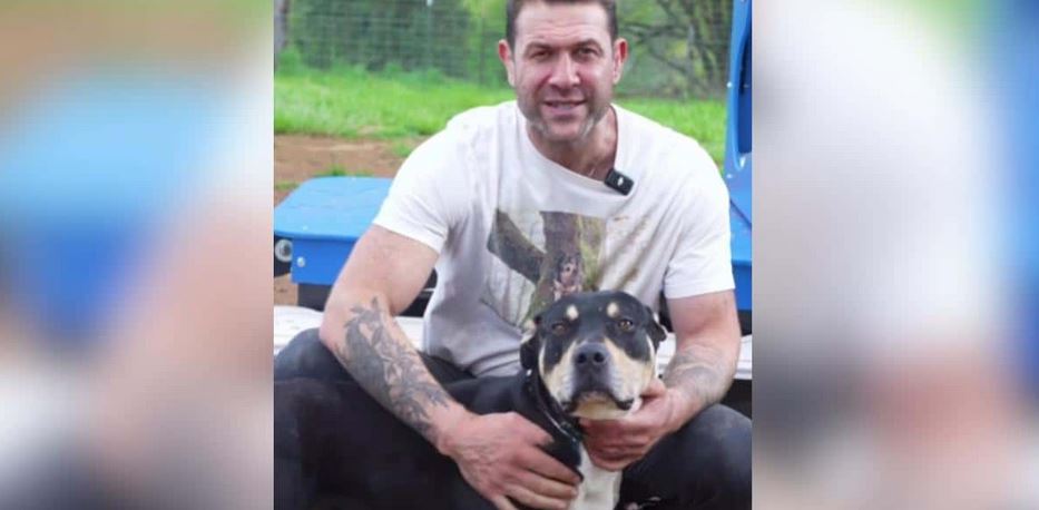 A Pit Bull Mastiff Mix Sat In Silence Facing A Lethal Twenty Four Hour Shelter Countdown