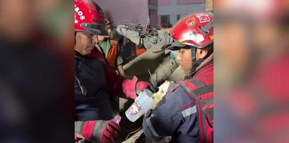 Devastating Twin Earthquakes in Venezuela Trigger a Miraculous Fight to Save One Tiny Life