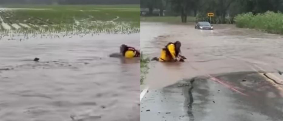 A Massive Indiana Flash Flood Sweeps A Helpless Baby Deer Into A High-Velocity Debris Corridor