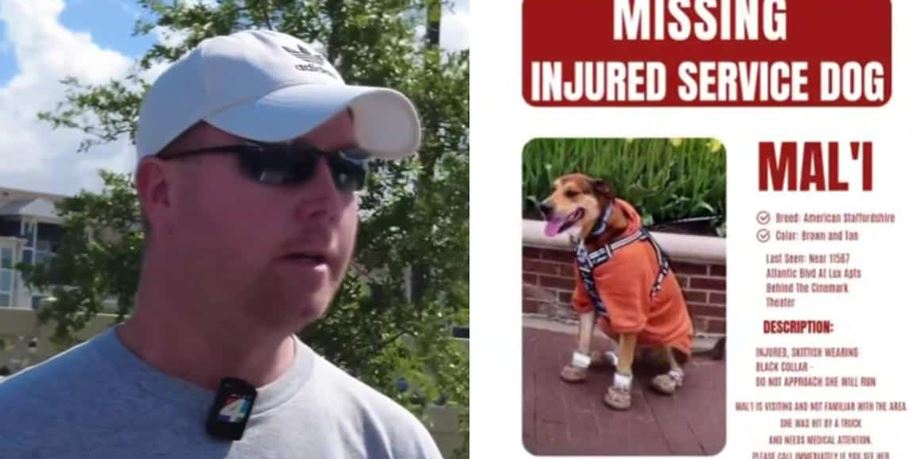 An Iowa Navy Veteran’s Displaced PTSD Service Dog Survives A Terrifying Florida Hit-And-Run