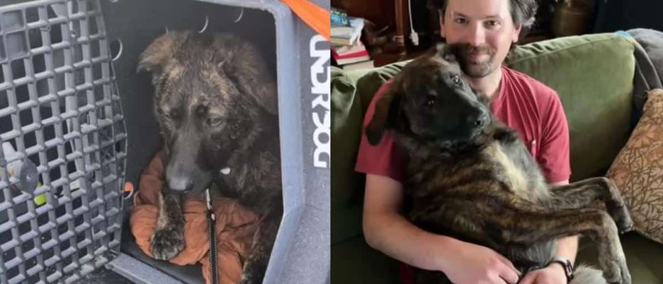 An Abandoned Freeway Box Infant Outlasts Her Siblings in a Brutal Multi-Month Adoption Bottleneck