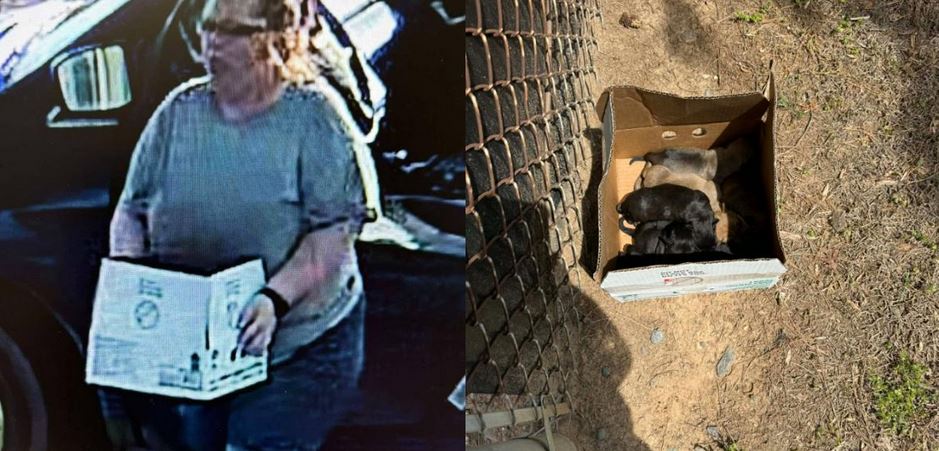 Eight Helpless Newborn Pups Left For Dead Near A Dumpster At Shuttered North Carolina Shelter Lot
