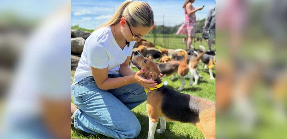 Final Four Hundred Seventy Five Beagles Rescued As Controversial Research Facility Closes Forever