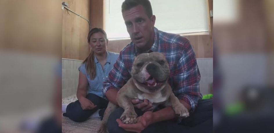 This Brave Dog Arrived at the Shelter as a Complete Medical Mess But Rescuers Were Stunned by the Spirit Hidden Inside Him