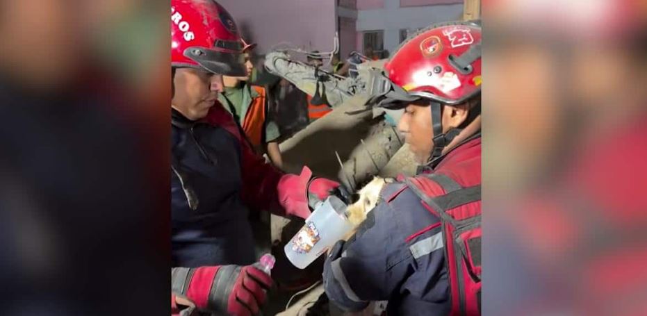 Tiny Puppy Pulled Alive From Venezuela Earthquake Rubble In Dramatic Rescue