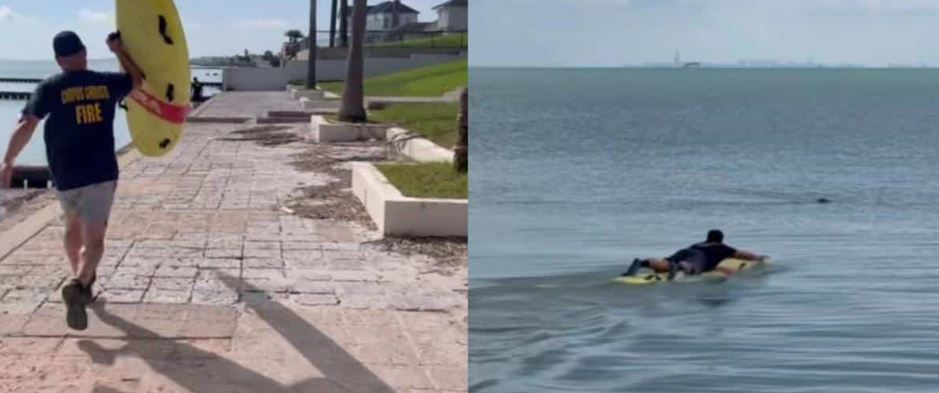 Firefighters Spot A Terrified Dog Drowning In The Bay And Refuse To Hesitate